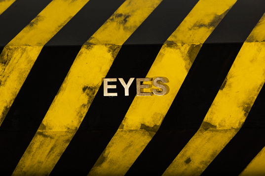 Atul Dodiya, Eyes, 2013