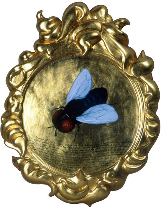 Nedko Solakov, The Little White Winged Fly, 2005