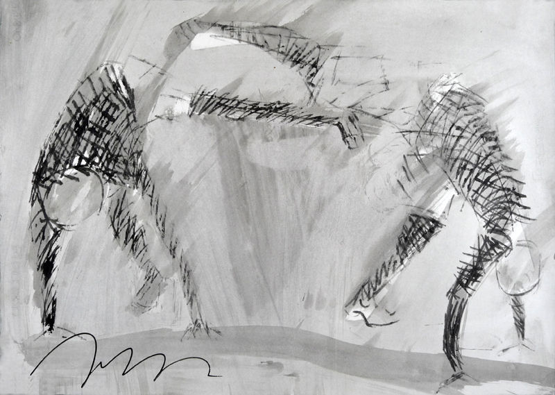 Sergio Rabinovitz, Capoeira, 2004 - 2011