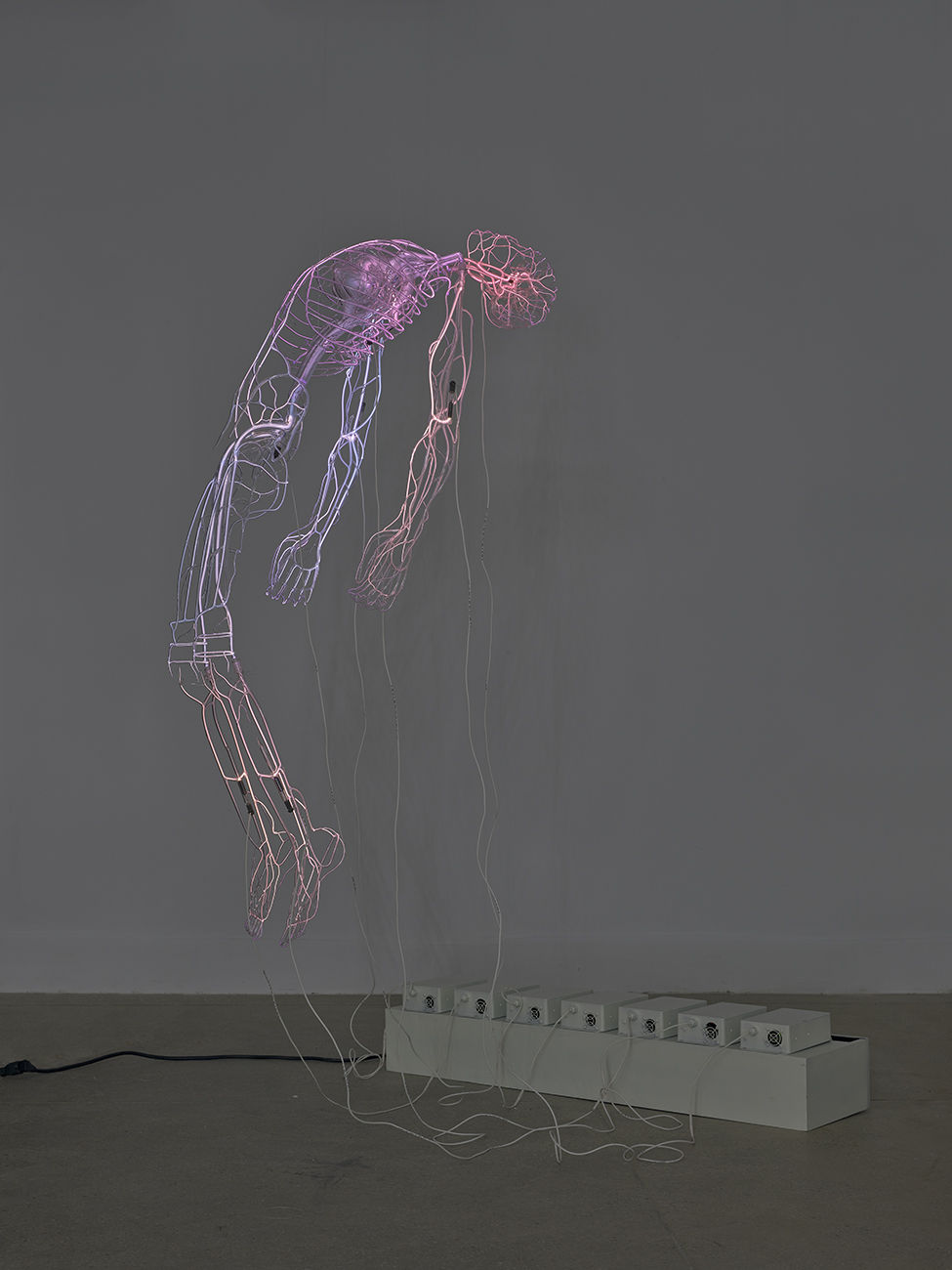 Tavares Strachan, What Will Be Remembered in the Face of All That is Forgotten, 2014-2015