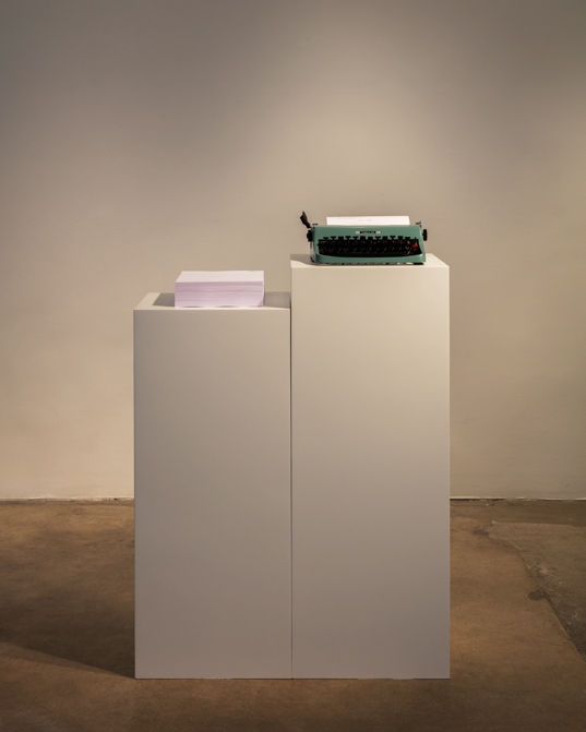 Fiona Banner, Dummy, 2013