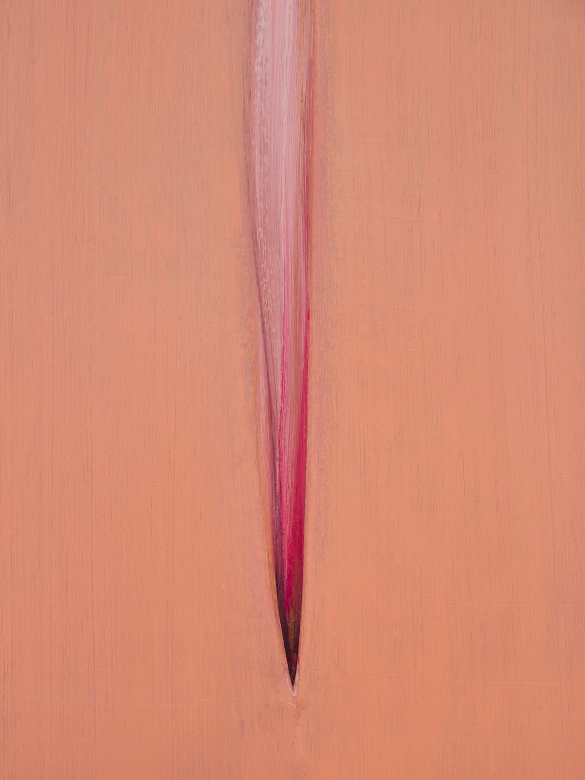 Eli Ping, Adiaphane IV, 2025