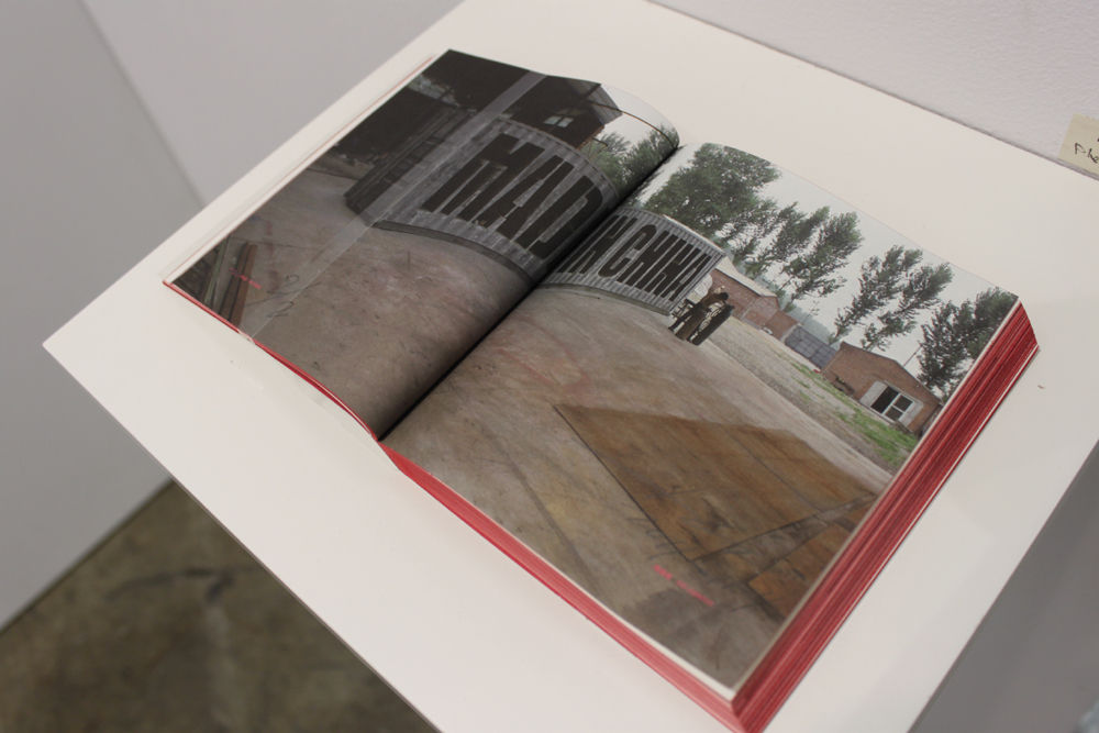 Pak Sheung Chuen, An artwork done by others series: MAD IN CHINA, 2011