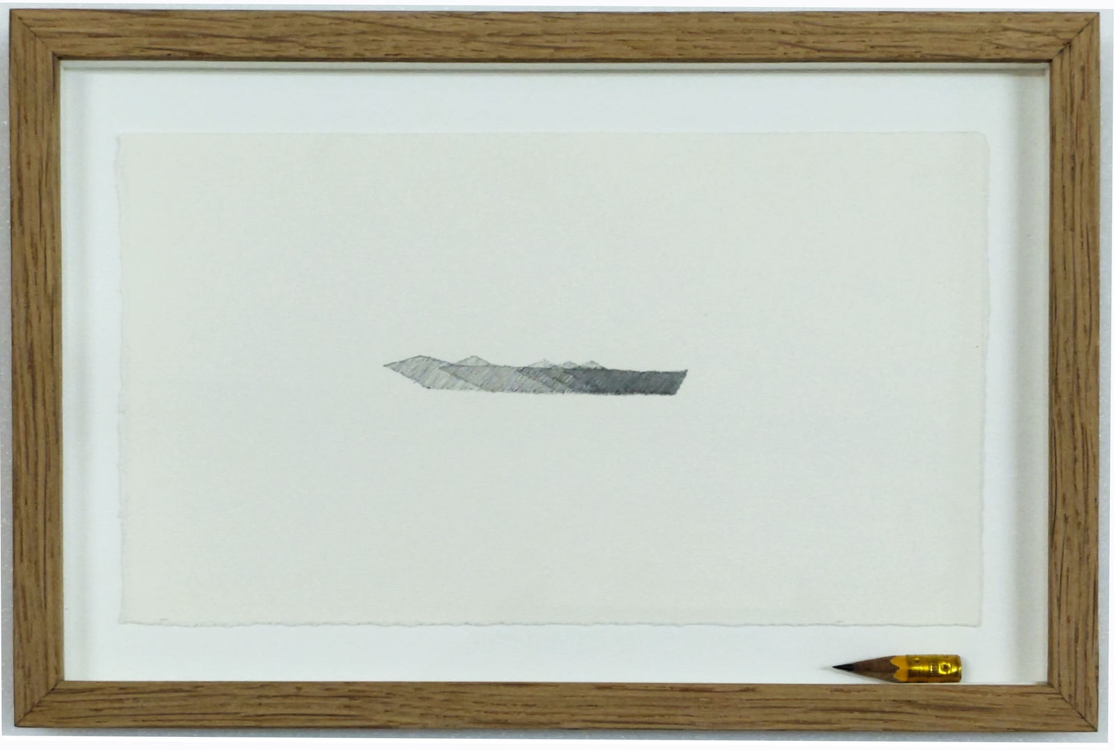 Pavel Büchler, The Shadow of Its Disappearance, 2008, 2008