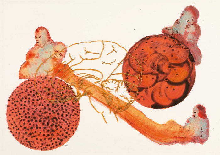 Nalini Malani, Listening to the Shades No. 1 - 42, 2008