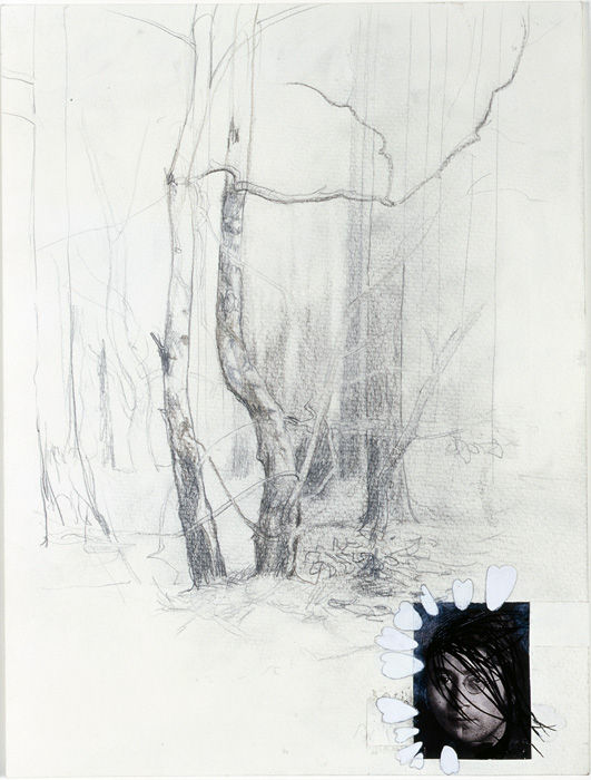 Monika Baer, Unter Birken (schwarzes Haar), 2005