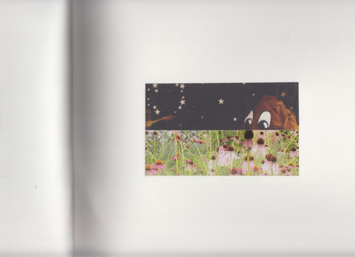 Muhanned Cader, Flags, 2012