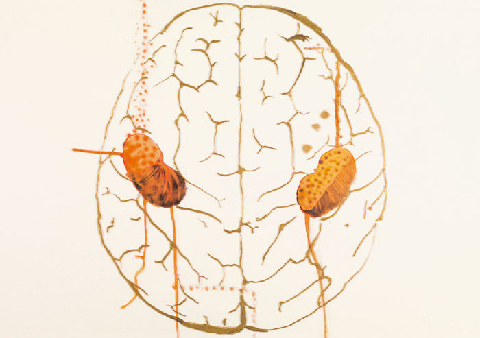 Nalini Malani, Listening to the Shades No. 1 - 42, 2008