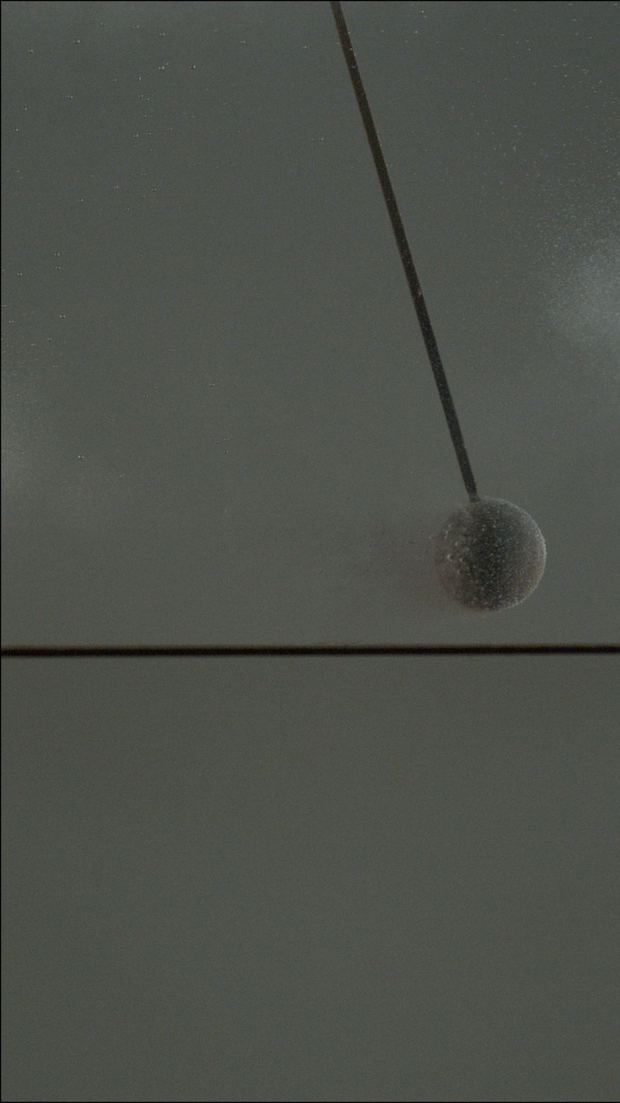 Motohiko Odani, A Dead Man Sleeping, 2013