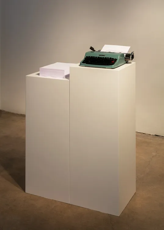 Fiona Banner, Dummy, 2013