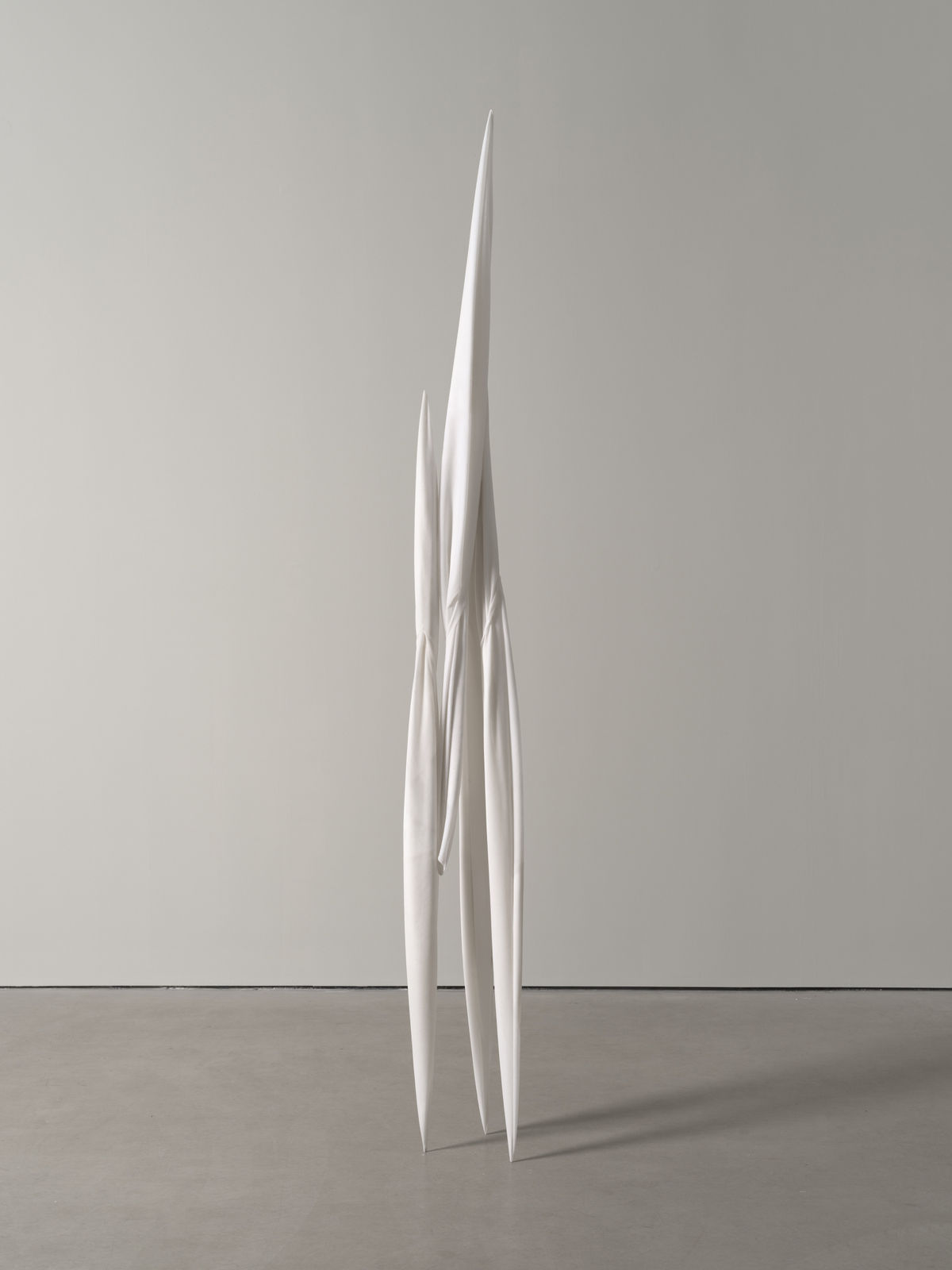 Eli Ping, Monocarp, 2024