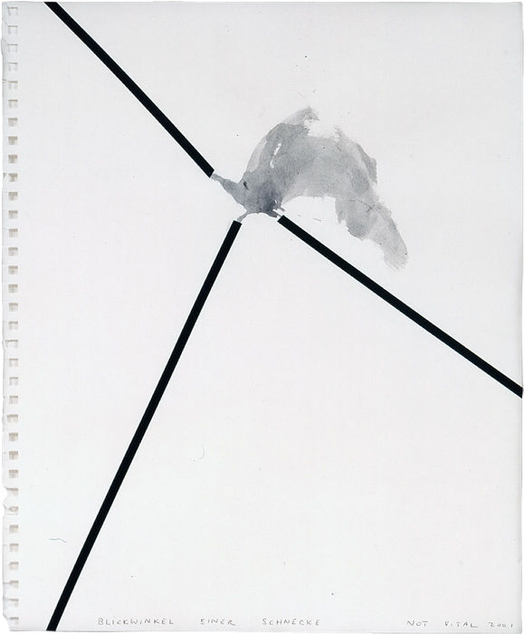 Not Vital, Blickwinkel einer Schnecke, 2001