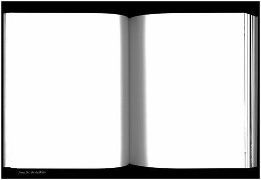 Pak Sheung Chuen, White Library, A Mind Reaching for Emptiness, 2009