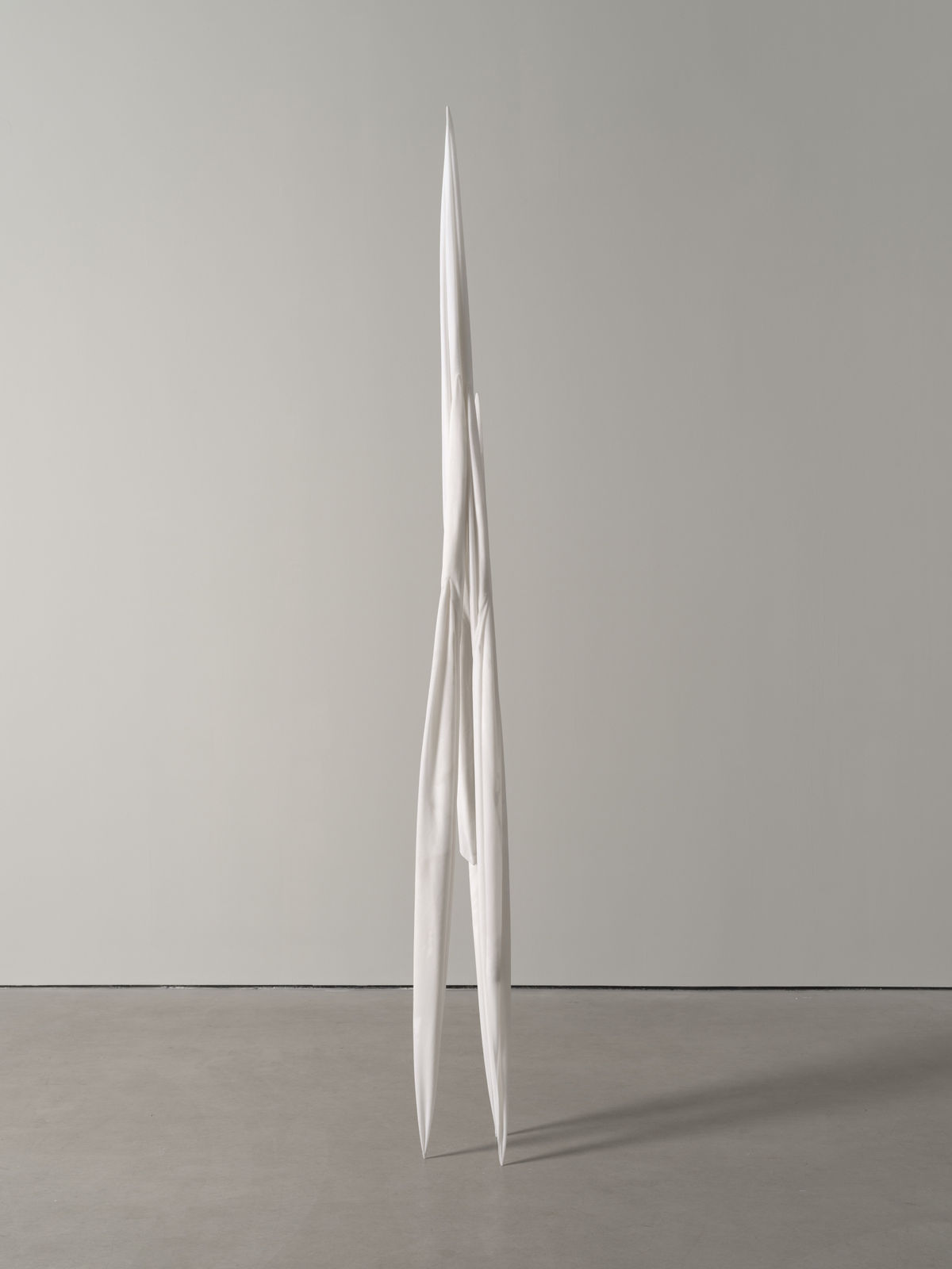 Eli Ping, Monocarp, 2024