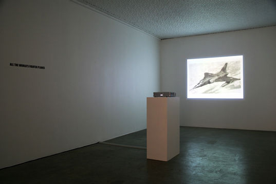 Fiona Banner, All the World's Fighter Planes, 2005-2006