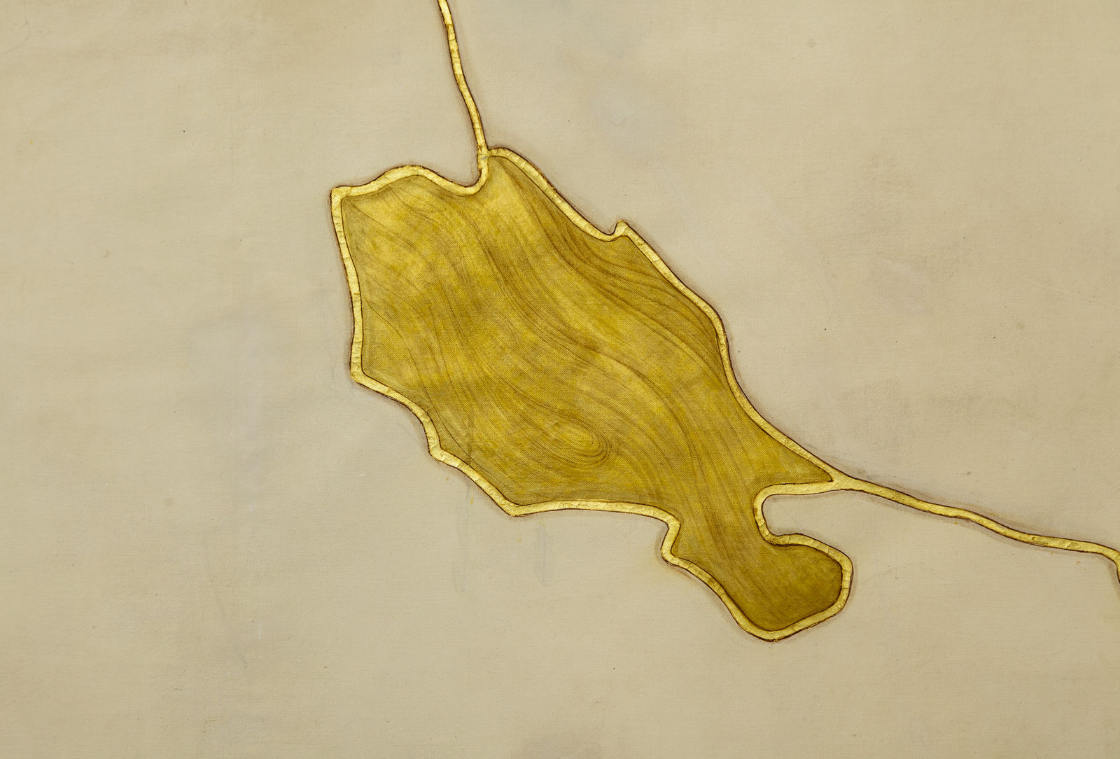 Desmond Lazaro, Declaration, 2016