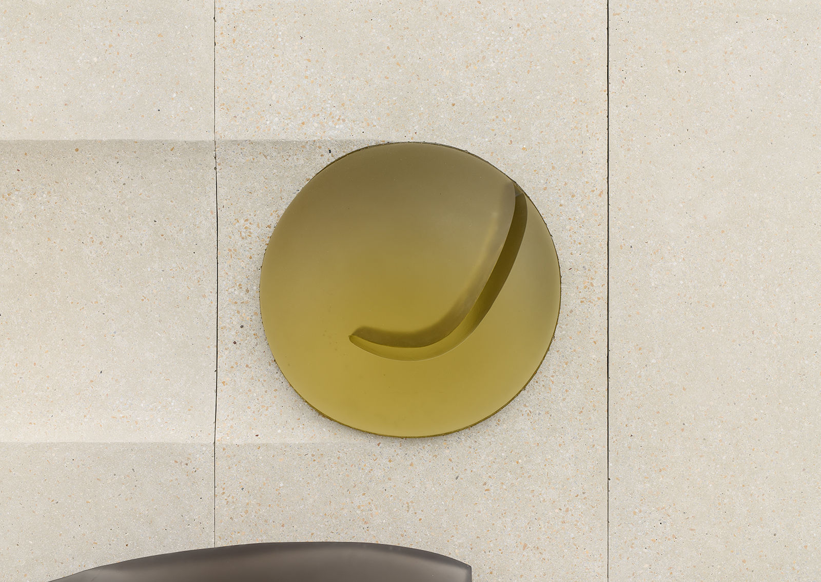 Klára Hosnedlová, Untitled (from the series Sakura Silk Moth), 2021