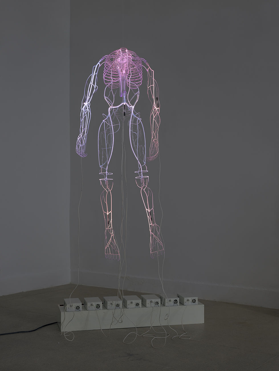 Tavares Strachan, What Will Be Remembered in the Face of All That is Forgotten, 2014-2015