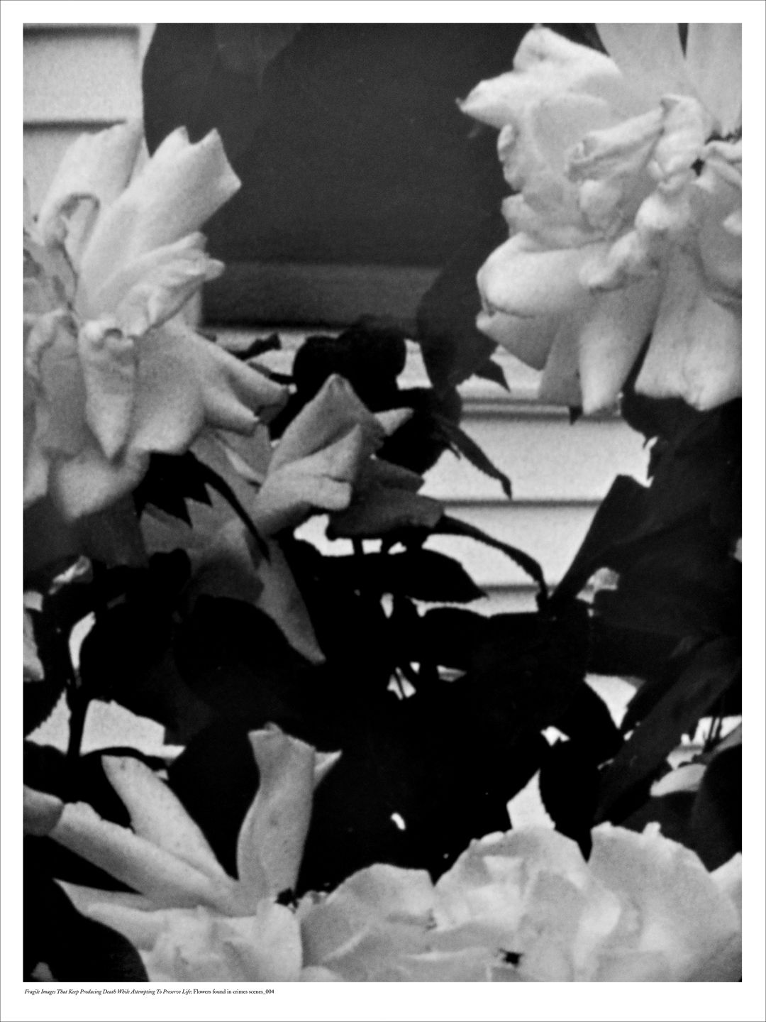 Alejandro Cesarco, The Streets Were Dark With Something More Than Night or The Closer I Get To The End The More I Rewrite The Beginning, 2011, 2011