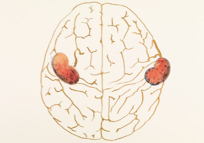 Nalini Malani, Listening to the Shades No. 1 - 42, 2008