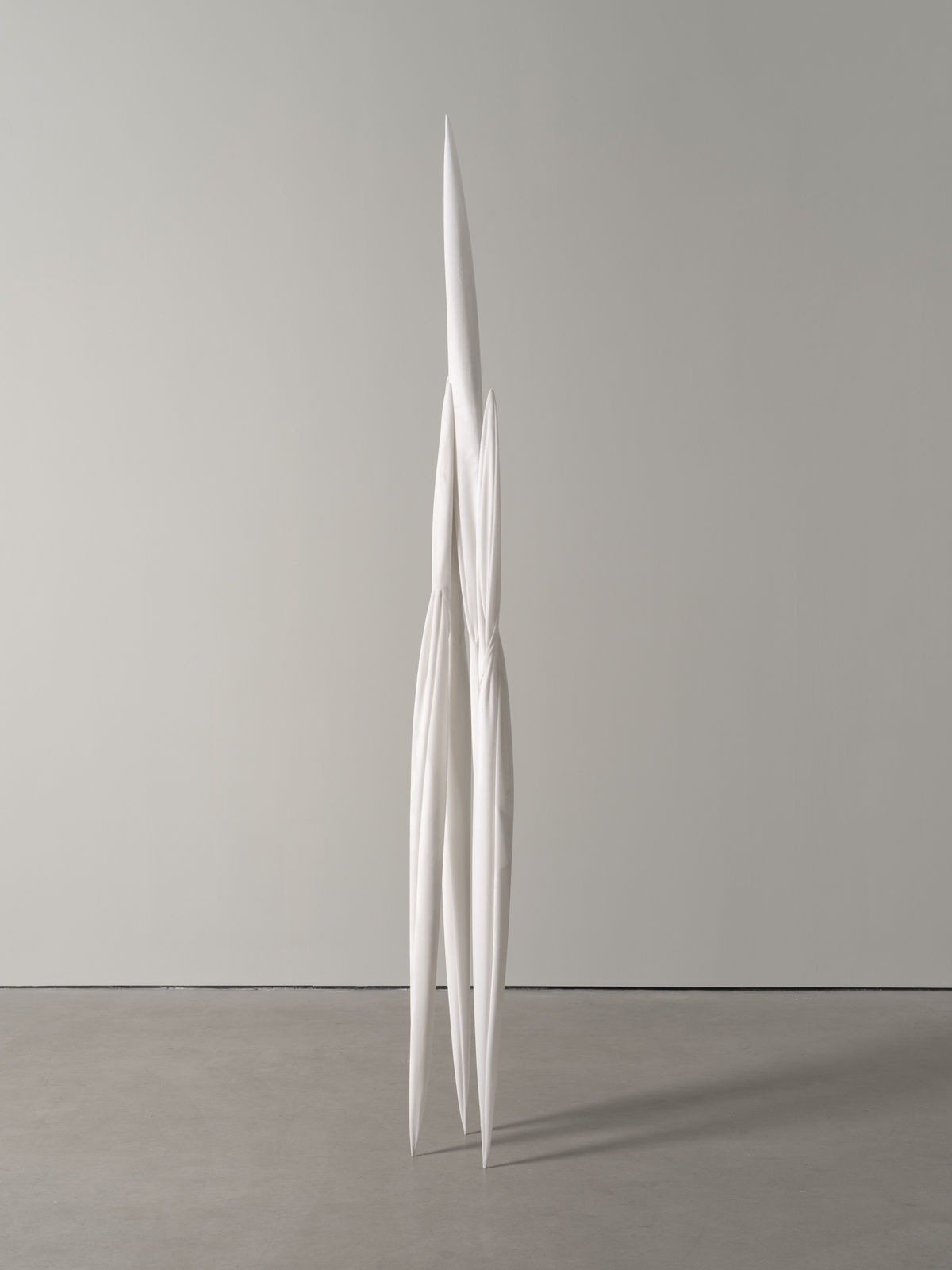 Eli Ping, Monocarp, 2024