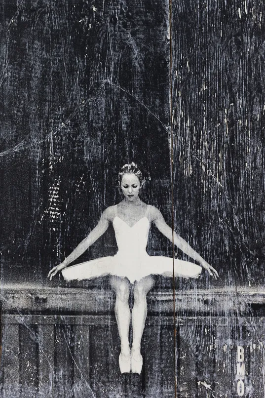 JR, The ballerina in containers, Le Havre, France, 2014