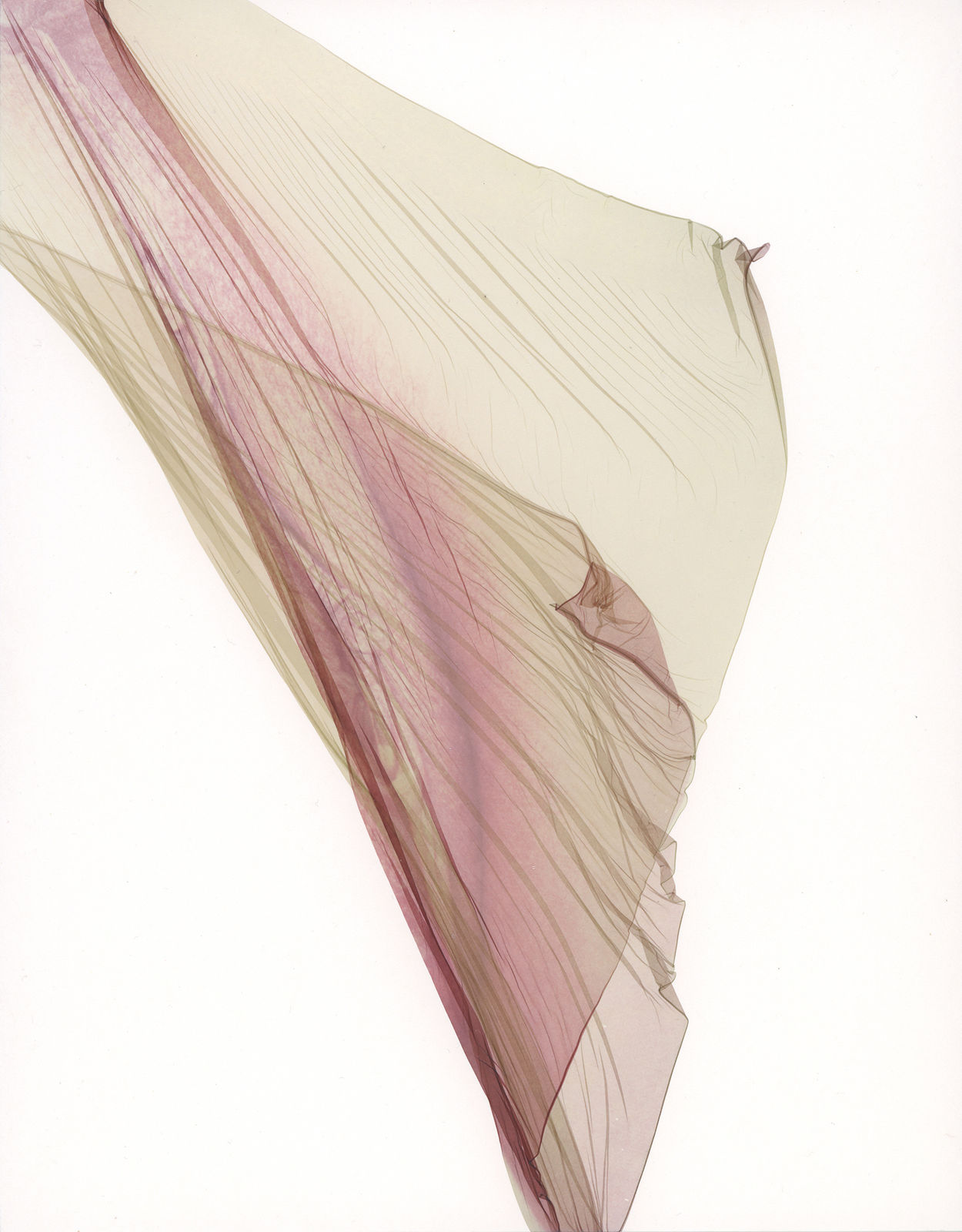 Pengyi Jiang, Dissolution No. 6, 2017