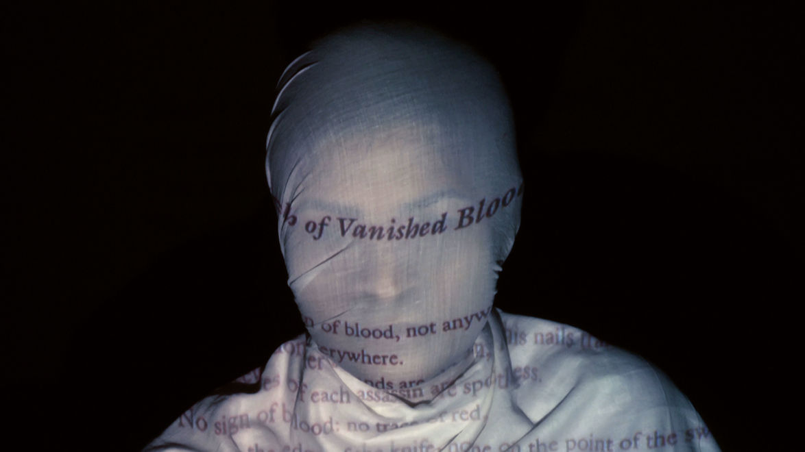 Nalini Malani, In Search of Vanished Blood, 2012