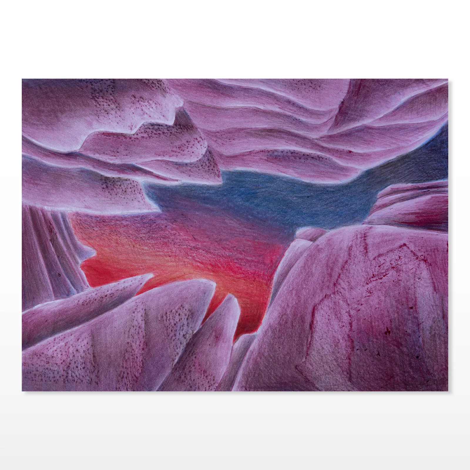 Silvia Giordani, First Flora, 2024