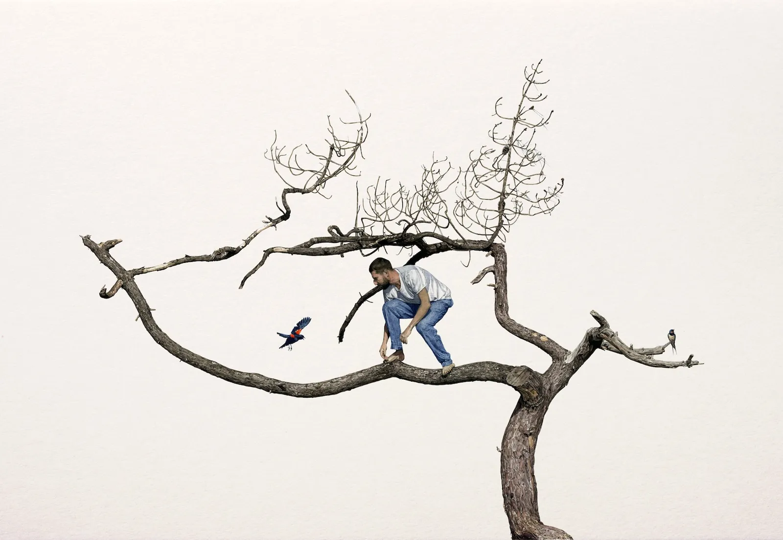 Fabien Mérelle, Merle Mérelle et Hirondelle, 2026