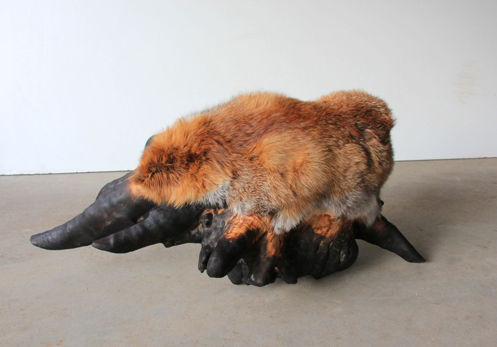 Lélia Demoisy, Taxus vulpes, 2022