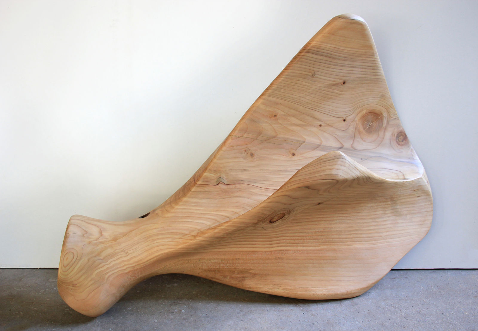 Lélia Demoisy, Cedrus Deodara - L'Omoplate, 2025