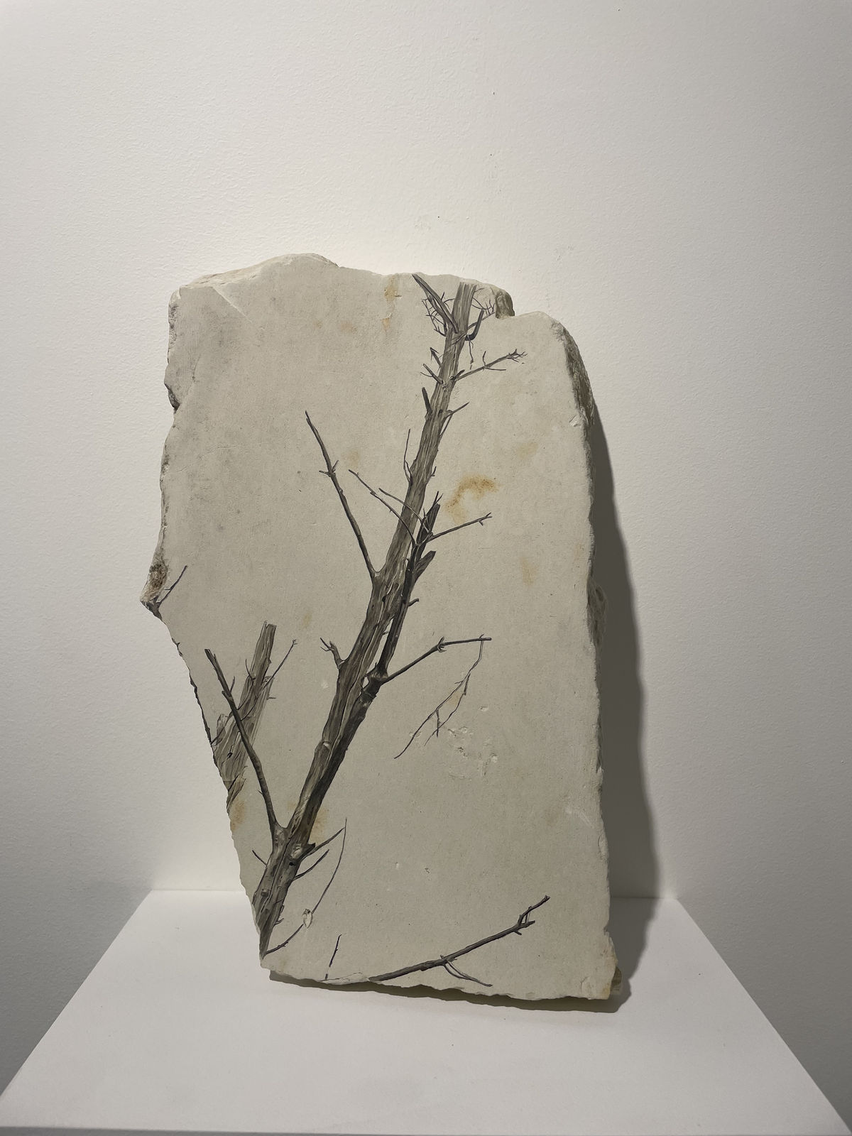 Fabien Mérelle, Fragment #31, 2023