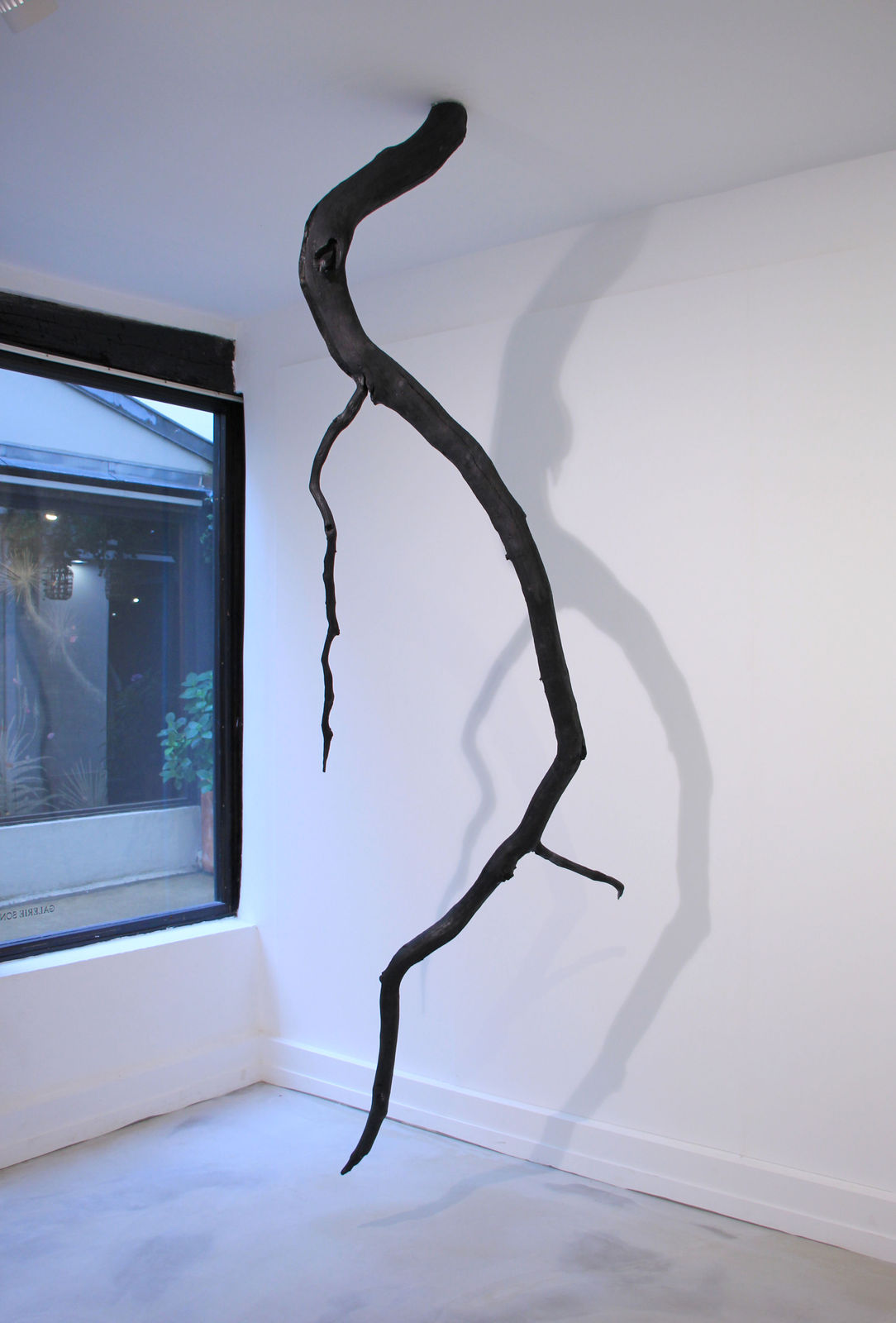 Lélia Demoisy, Pousser avec fracas, 2022