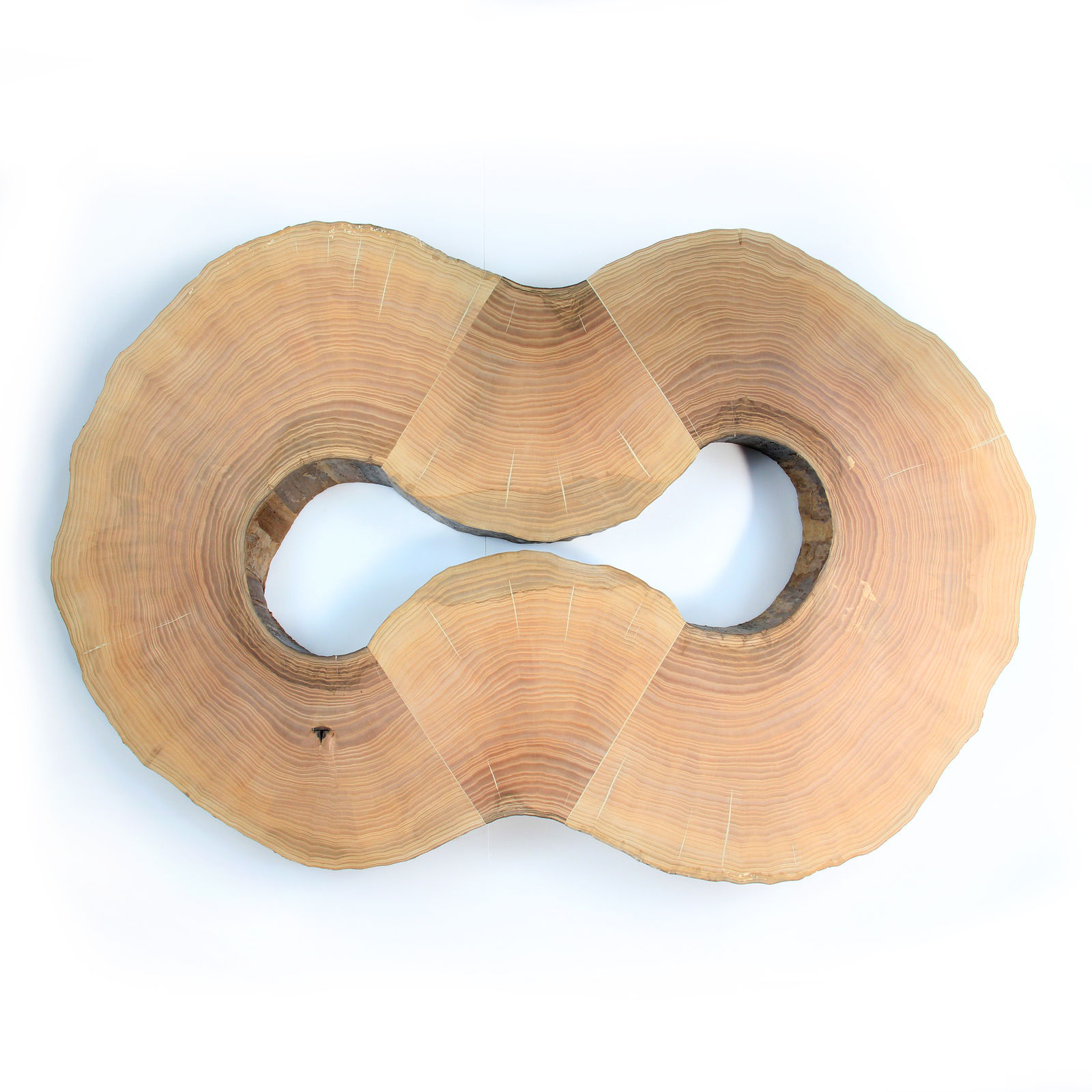 Lélia Demoisy, Anastomose 2, 2025