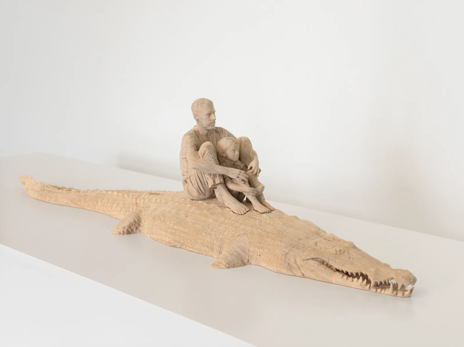 Fabien Mérelle, La vie crocodile