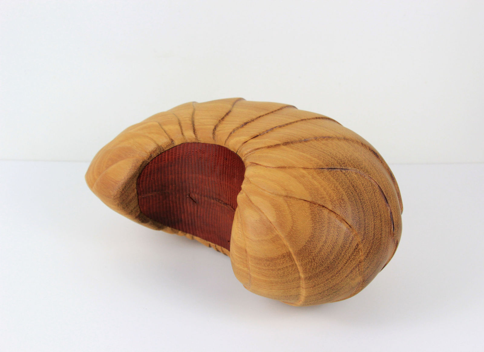 Lélia Demoisy, Carapace n°4, 2024