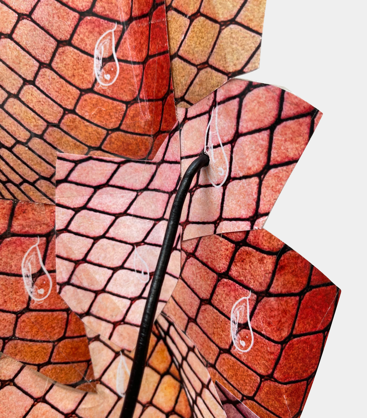 Joe Madeira, Moisturous, 2022