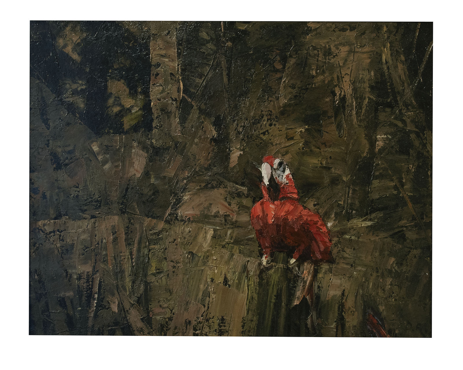 Dean Richardson, Scarlett Macaw, 1997