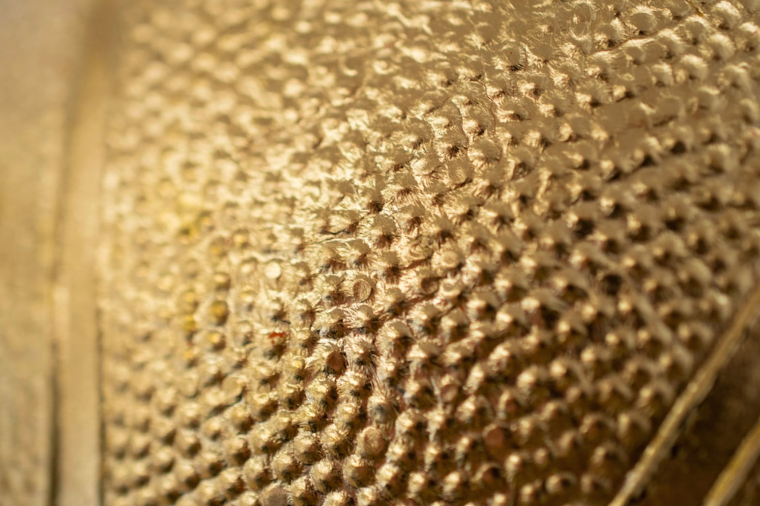 Nafis M. White, Black Gold, 2014