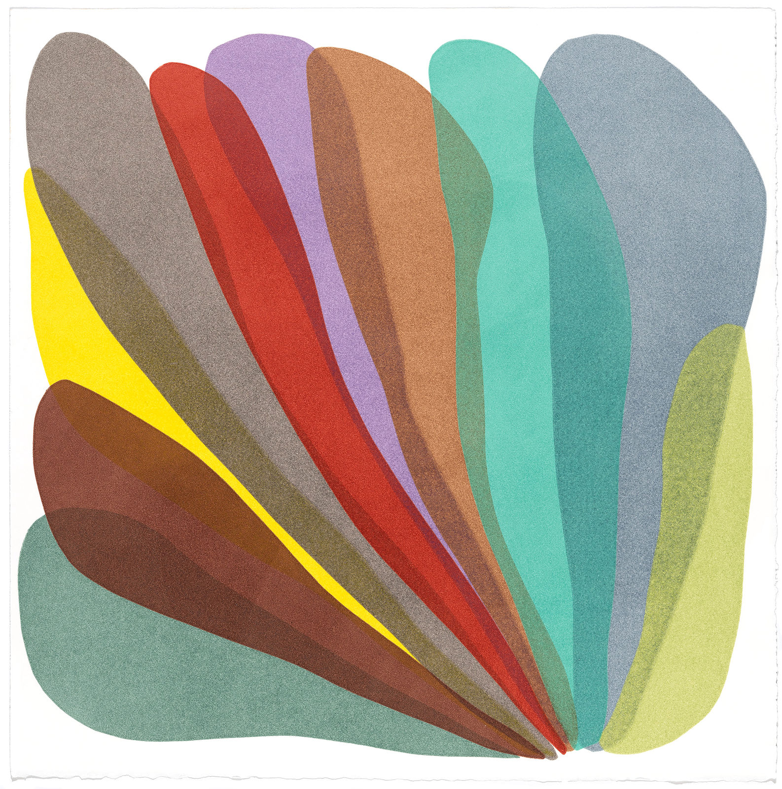 Laura Berman, Wonders: Sea 33, 2021