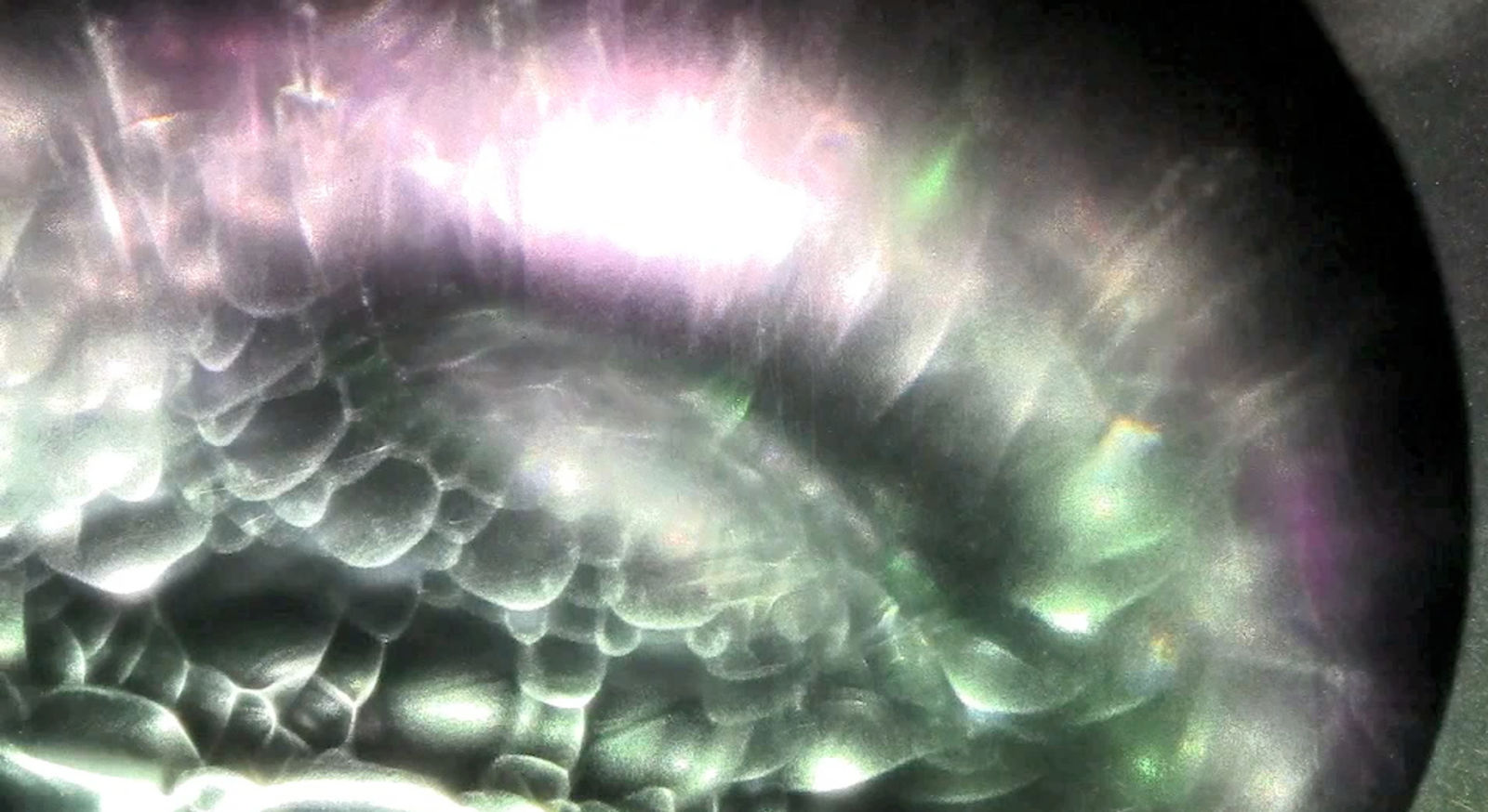 Aaron Pexa, Optic Stamp, 2013