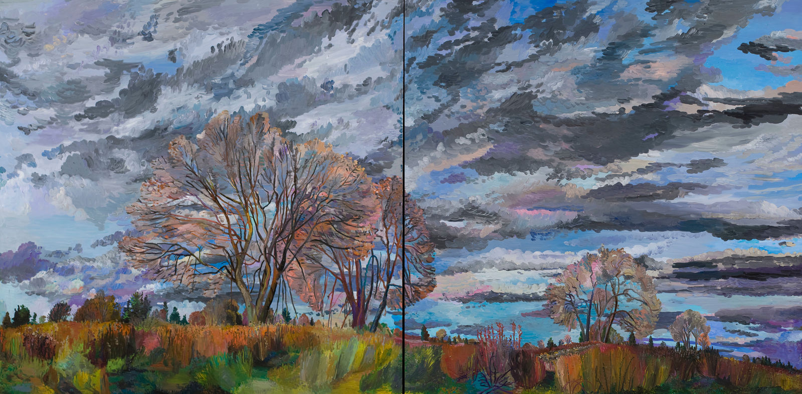 Nancy Friese, Avondale Farm Preserve Winter, 2007