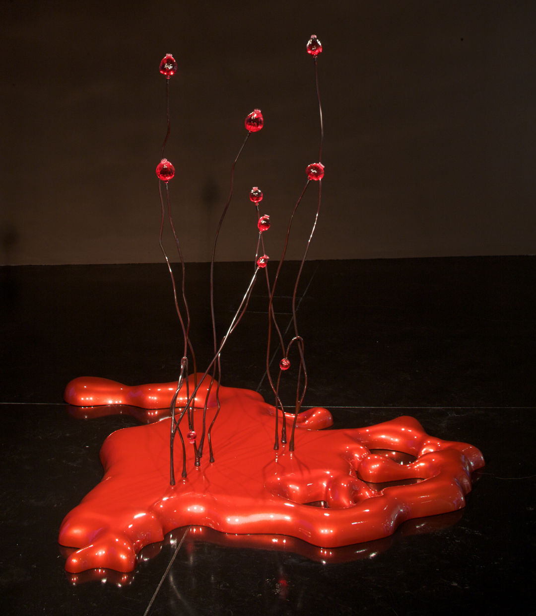 Dean Snyder, Amnesia, 2008