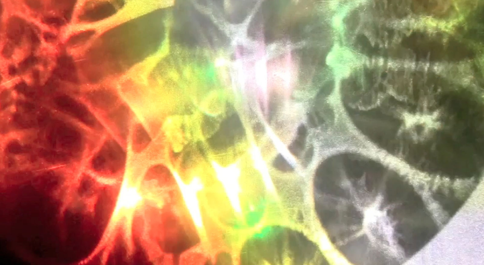 Aaron Pexa, Optic Stamp, 2013