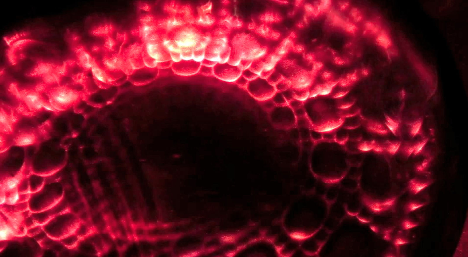 Aaron Pexa, Optic Stamp, 2013