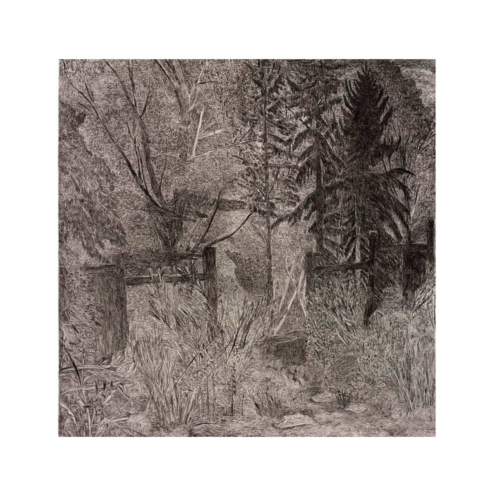 Nancy Friese, Tumbling Time Portfolio, 2010