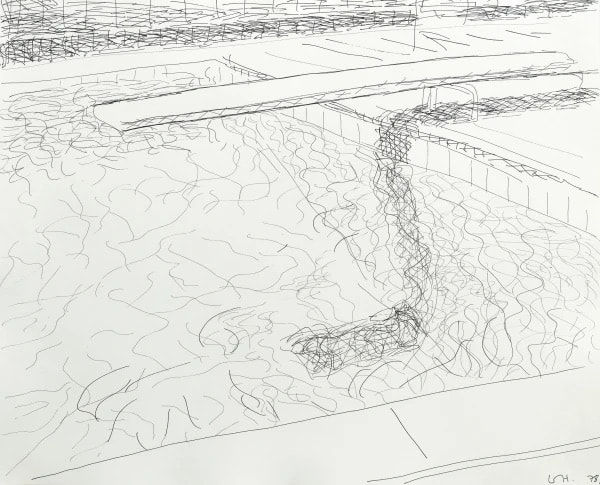 DAVID HOCKNEY, Swimming Pool