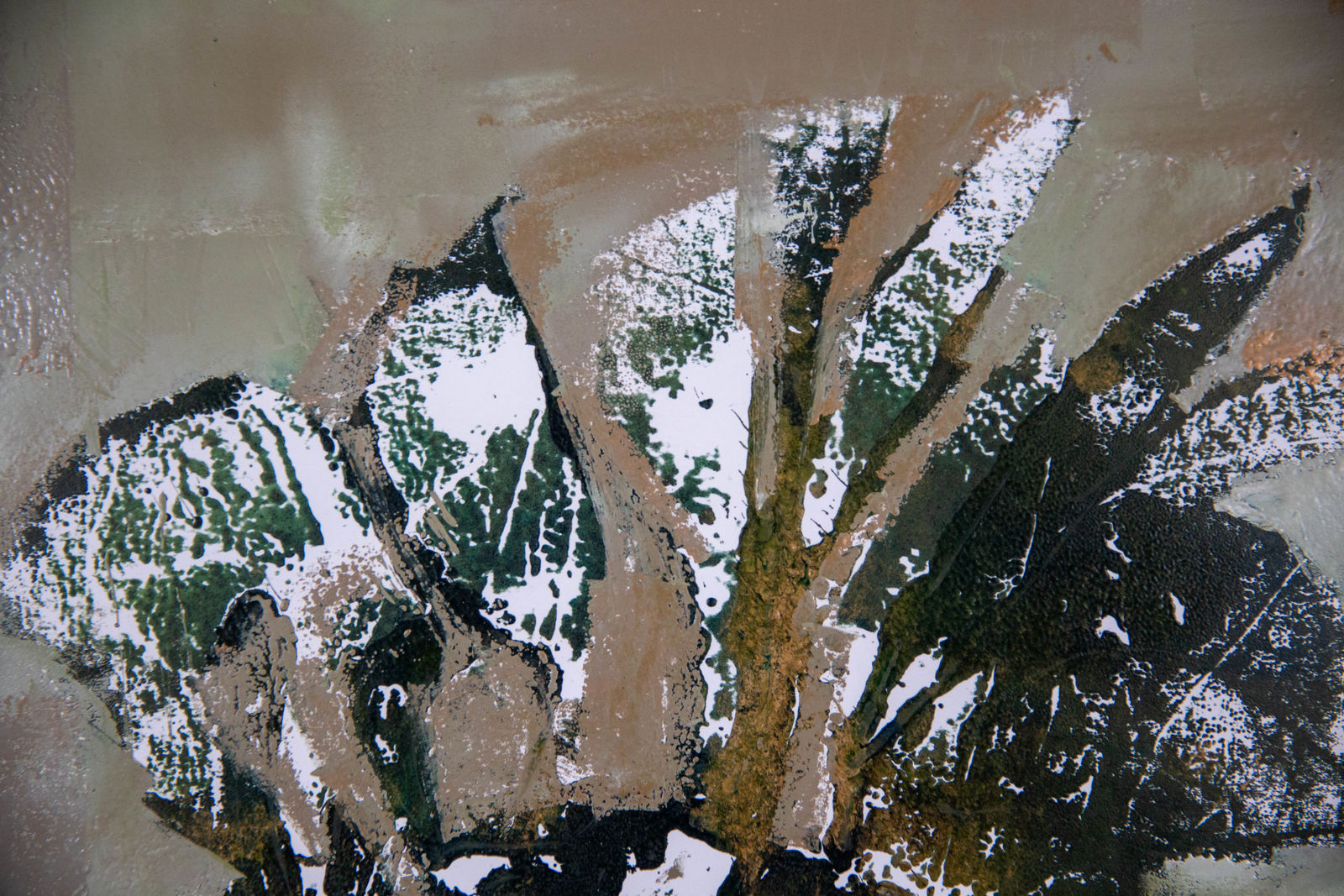 Louise Almon, Floral Monotype II, 2023