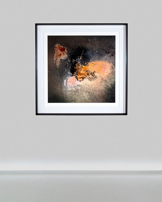 Mariëtte Kotzé, Dance on the eventide 1/1, 2021